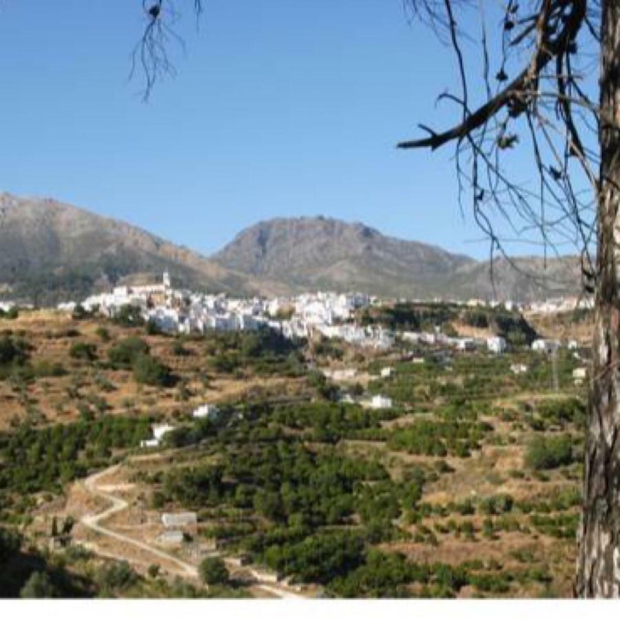 Casa Las Tres Conchas Yunquera Εξωτερικό φωτογραφία